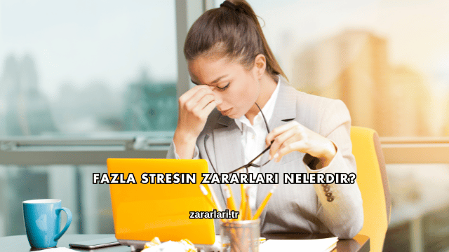 Fazla Stresin Zararları Nelerdir?