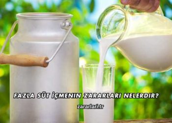 Fazla Süt İçmenin Zararları Nelerdir?