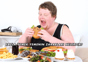 Fazla Yemek Yemenin Zararları Nelerdir?