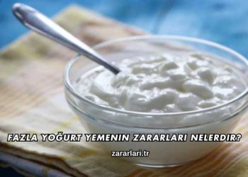 Fazla Yoğurt Yemenin Zararları Nelerdir?