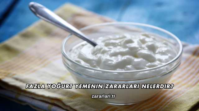 Fazla Yoğurt Yemenin Zararları Nelerdir?