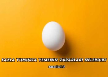 Fazla Yumurta Yemenin Zararları Nelerdir?