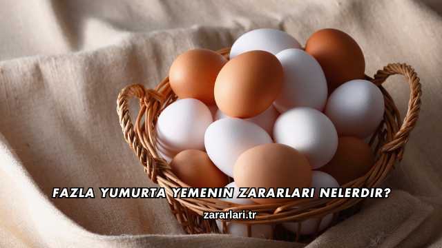 Fazla Yumurta Yemenin Zararları Nelerdir?