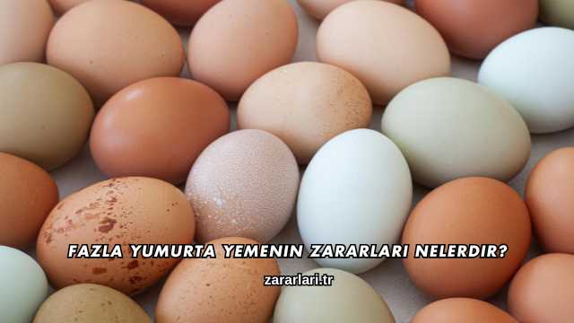 Fazla Yumurta Yemenin Zararları Nelerdir?