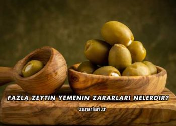 Fazla Zeytin Yemenin Zararları Nelerdir?