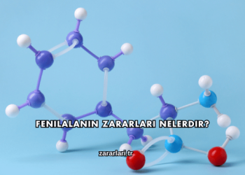 Fenilalanin Zararları Nelerdir?