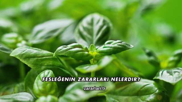 Fesleğenin Zararları Nelerdir?