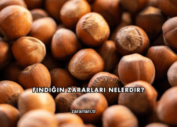 Fındığın Zararları Nelerdir?