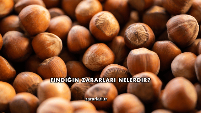 Fındığın Zararları Nelerdir?