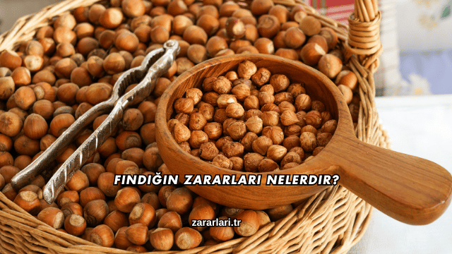 Fındığın Zararları Nelerdir?