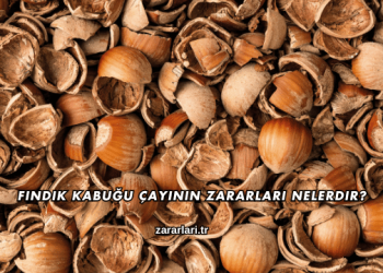 Fındık Kabuğu Çayının Zararları Nelerdir?