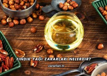 Fındık Yağı Zararları Nelerdir?