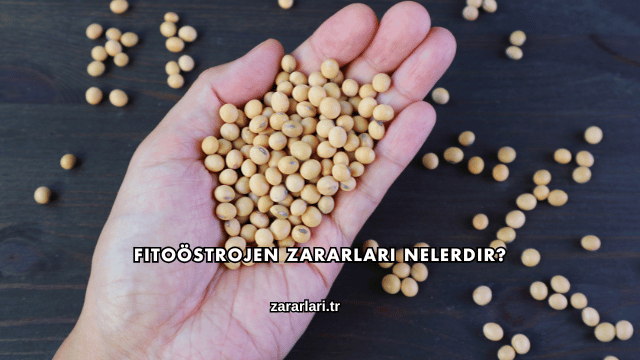 Fitoöstrojen Zararları Nelerdir?