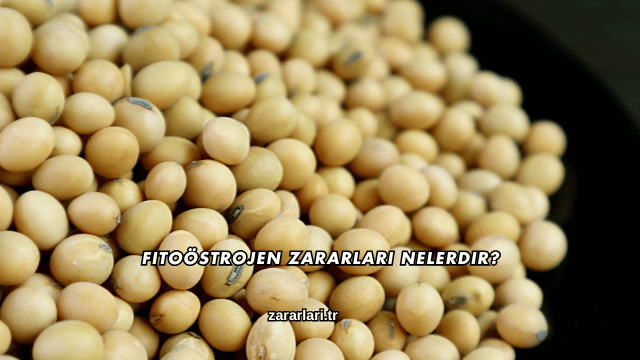 Fitoöstrojen Zararları Nelerdir?