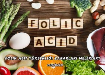Folik Asit Yüksekliği Zararları Nelerdir?