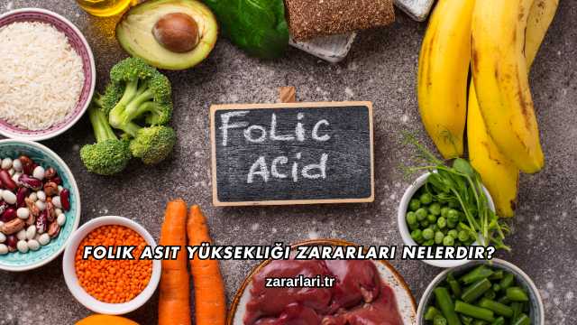 Folik Asit Yüksekliği Zararları Nelerdir?