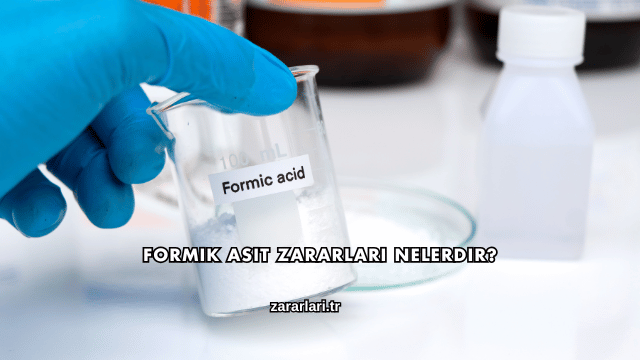 Formik Asit Zararları Nelerdir?