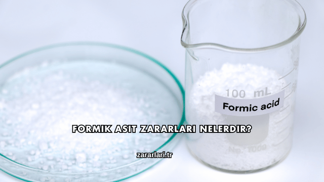 Formik Asit Zararları Nelerdir?