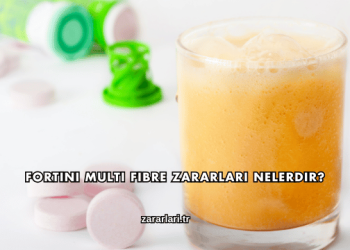 Fortini Multi Fibre Zararları Nelerdir?