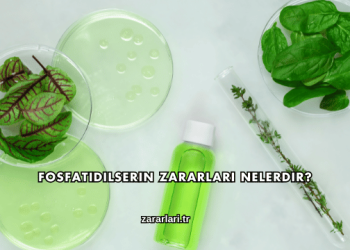 Fosfatidilserin Zararları Nelerdir?