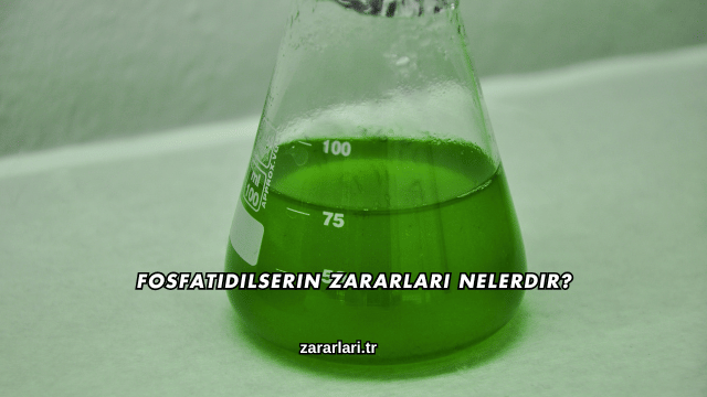 Fosfatidilserin Zararları Nelerdir?