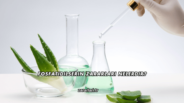 Fosfatidilserin Zararları Nelerdir?