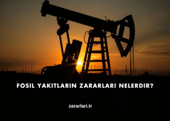 Fosil Yakıtların Zararları Nelerdir?
