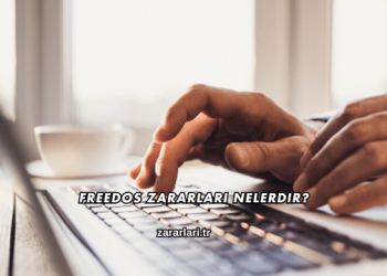 Freedos Zararları Nelerdir?