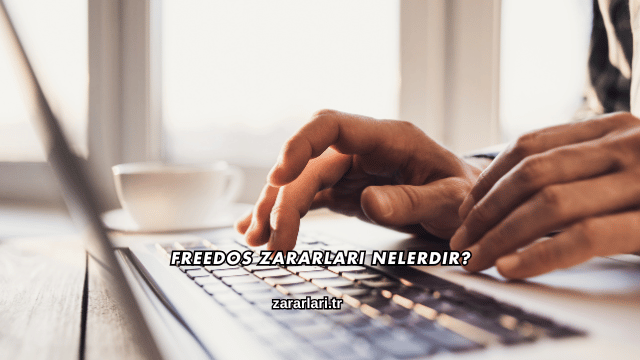 Freedos Zararları Nelerdir?