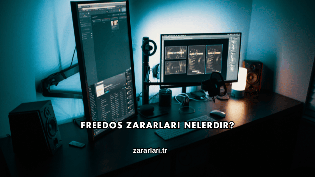 Freedos Zararları Nelerdir?