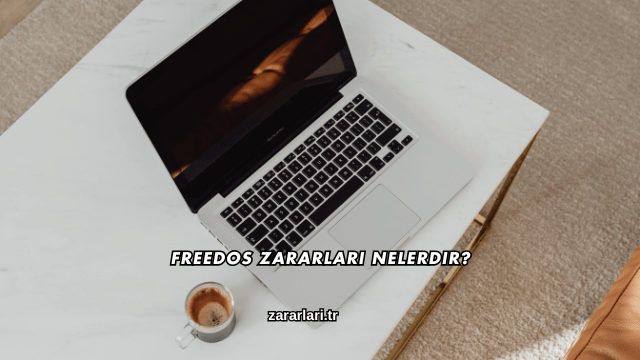 Freedos Zararları Nelerdir?