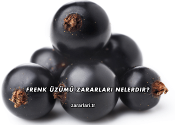 Frenk Üzümü Zararları Nelerdir?