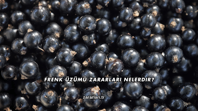 Frenk Üzümü Zararları Nelerdir?