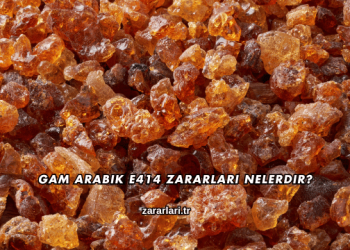 Gam Arabik E414 Zararları Nelerdir?