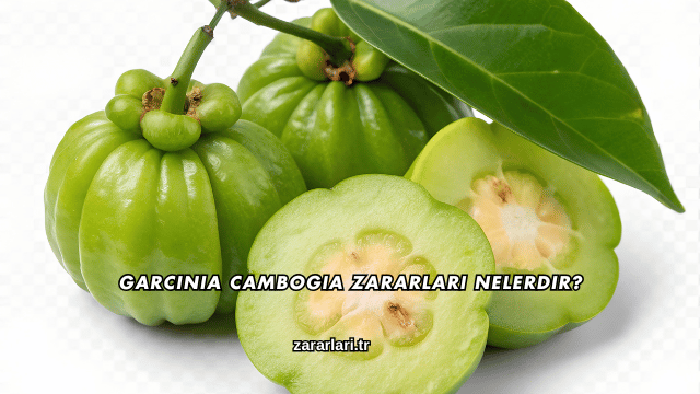 Garcinia Cambogia Zararları Nelerdir?