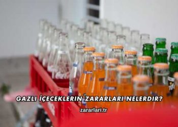 Gazlı İçeceklerin Zararları Nelerdir?