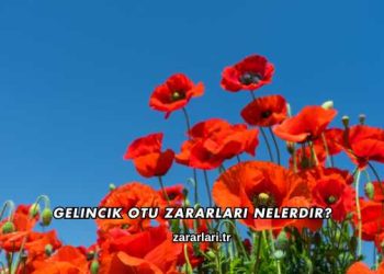 Gelincik Otu Zararları Nelerdir?