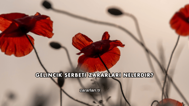 Gelincik Şerbeti Zararları Nelerdir?