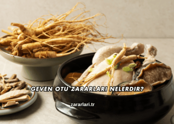 Geven Otu Zararları Nelerdir?