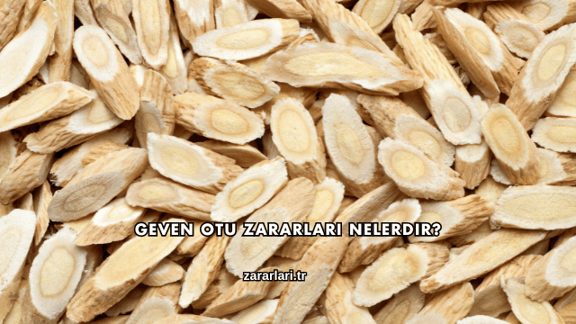 Geven Otu Zararları Nelerdir?