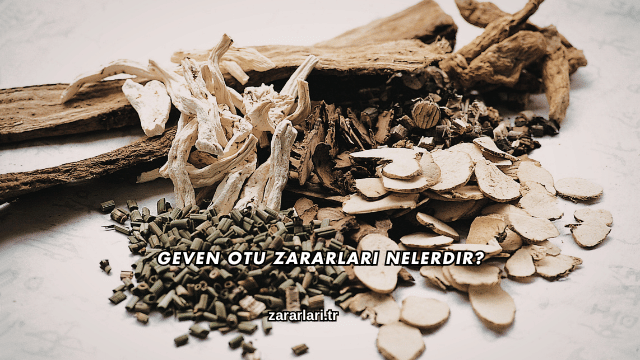 Geven Otu Zararları Nelerdir?