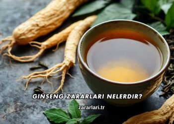 Ginseng Zararları Nelerdir?
