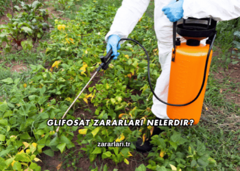 Glifosat Zararları Nelerdir?