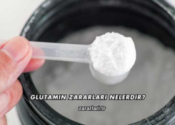 Glutamin Zararları Nelerdir?