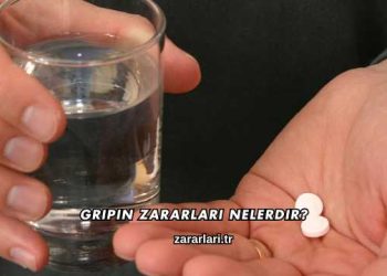Gripin Zararları Nelerdir?