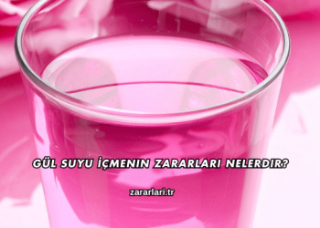 Gül Suyu İçmenin Zararları Nelerdir?