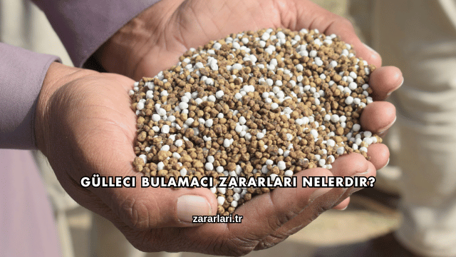 Gülleci Bulamacı Zararları Nelerdir?