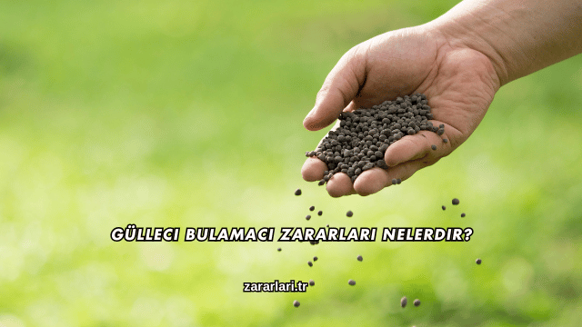 Gülleci Bulamacı Zararları Nelerdir?