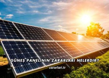 Güneş Panelinin Zararları Nelerdir?