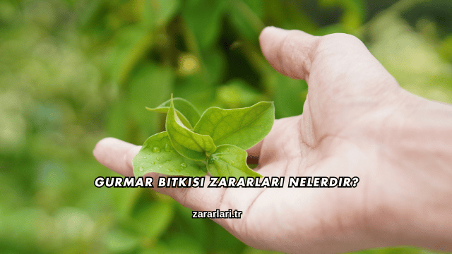 Gurmar Bitkisi Zararları Nelerdir?